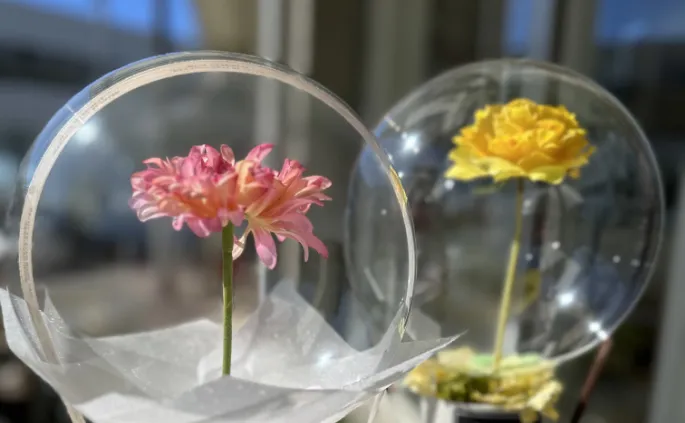 バルーンフラワーとは